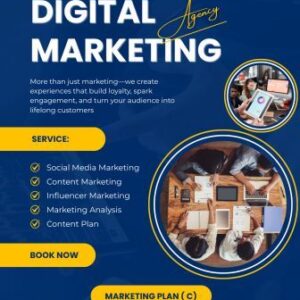 Plan ( c ) the integrated plan (leadership and building a premium brand)